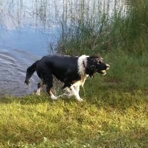 Meet your Posher, Brandy